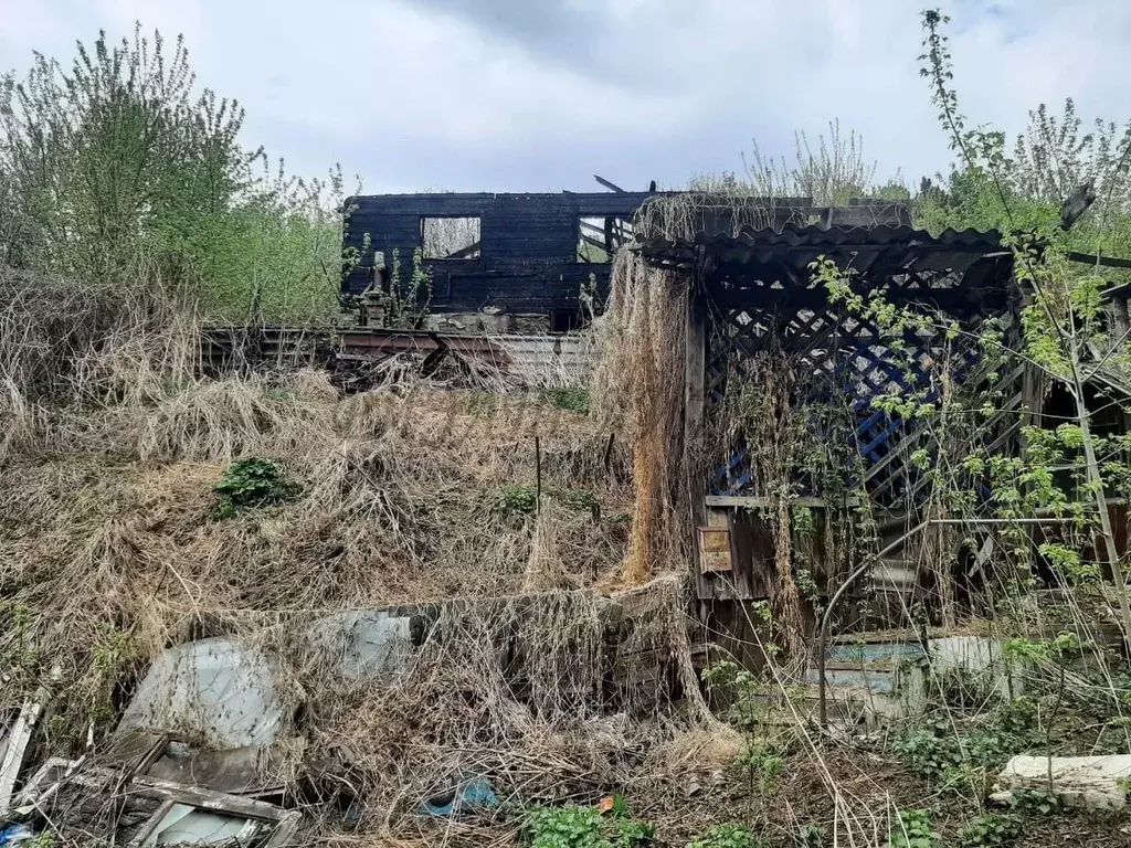 Участок в Алтай, Горно-Алтайск Плодовоягодная ул., 9 (7.23 сот.) - Фото 1