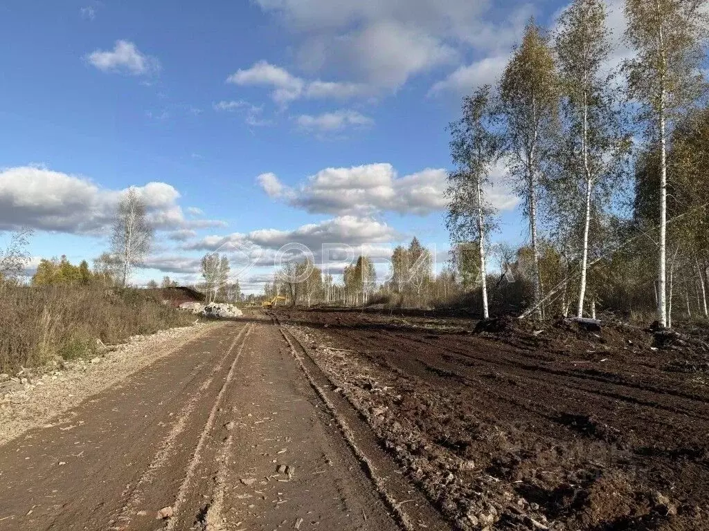 Участок в Тюменская область, Тюмень Садовое товарищество Липовый ... - Фото 1