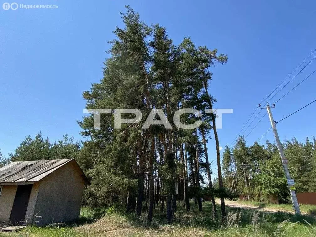 Участок в деревня Медовка, улица Садоводов, 5 (10 м) - Фото 1