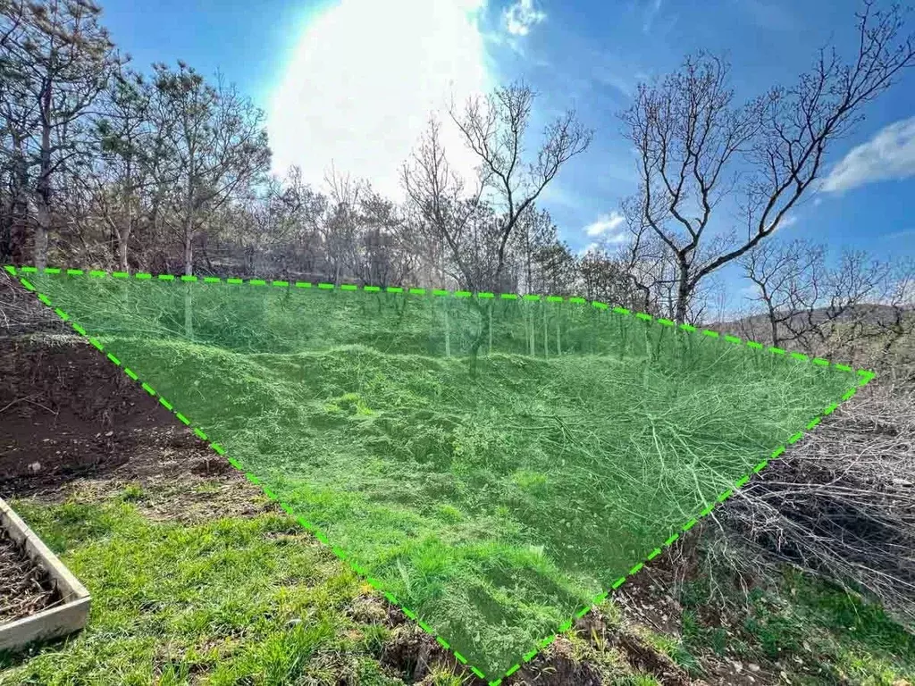 Участок в Крым, Алушта муниципальный округ, пос. Семидворье, Надежда ... - Фото 1