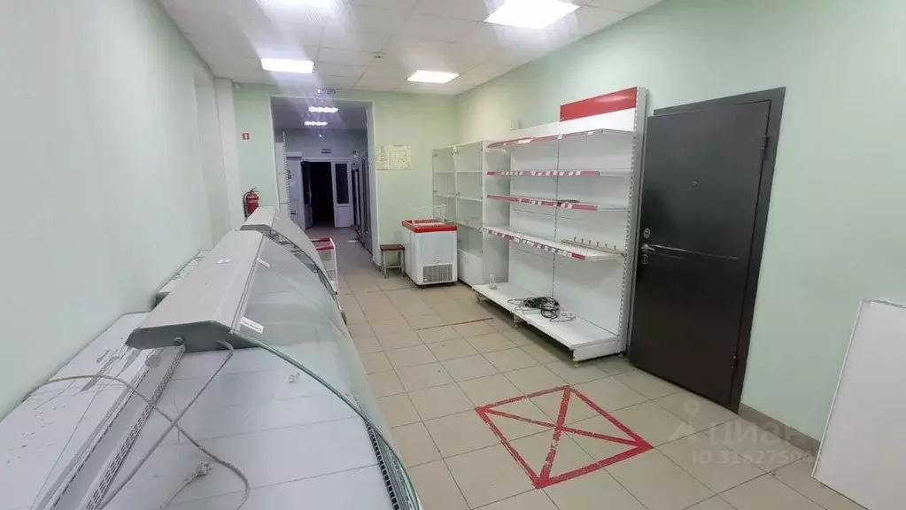 Помещение свободного назначения в Самарская область, Самара ... - Фото 0