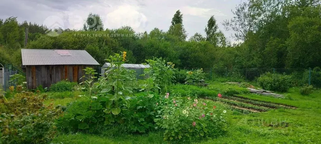 Участок в Чувашия, Чебоксары городской округ, Сосновка пгт, Сосенка ... - Фото 1