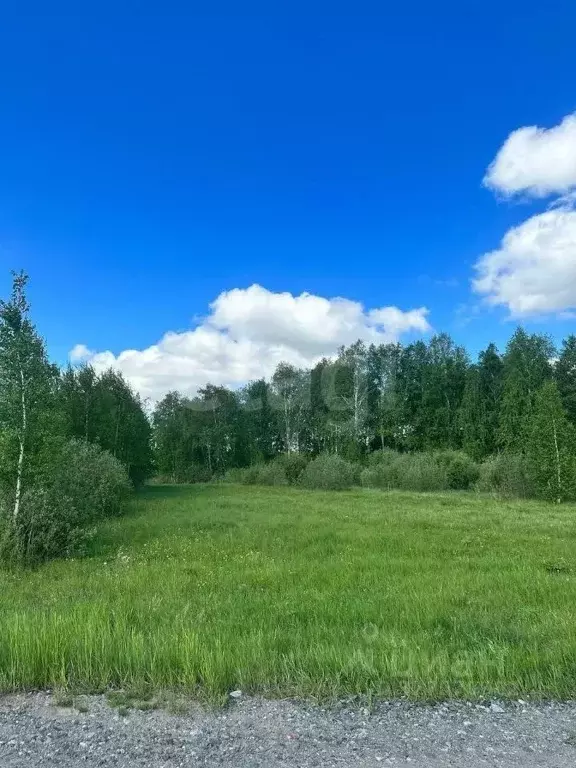 Участок в Тюменская область, Тюменский муниципальный округ, Дачи Хюгге ... - Фото 2