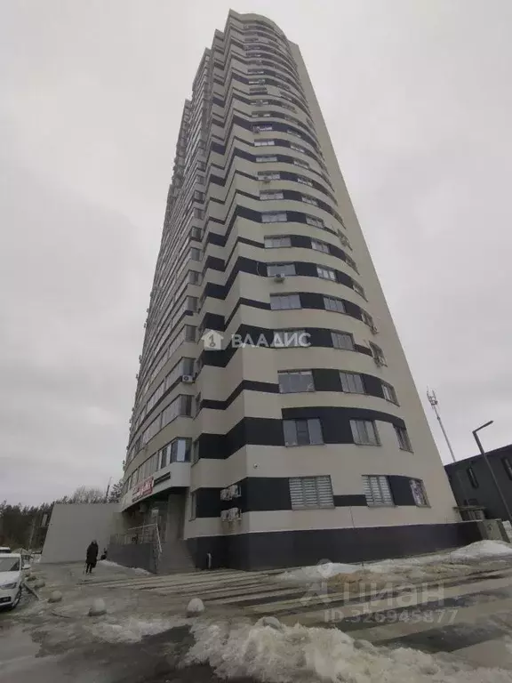 Студия Воронежская область, Воронеж ул. 9 Января, 233/40 (22.5 м) - Фото 0