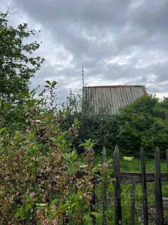 Участок в Оренбургская область, Оренбургский район, Нежинский ... - Фото 2