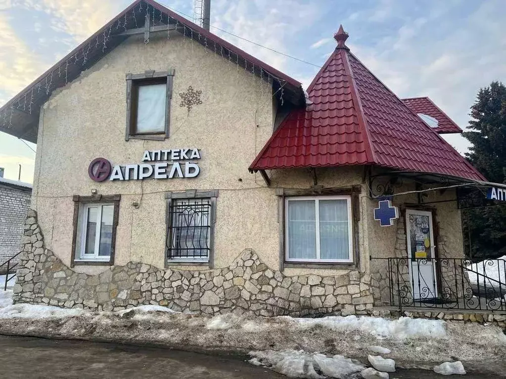 Торговая площадь в Саратовская область, Новые Бурасы рп ул. Почтовая, ... - Фото 2