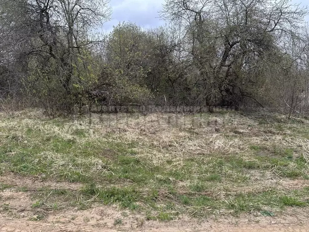 Участок в Смоленская область, Смоленск пос. Миловидово,  (80.11 сот.) - Фото 2