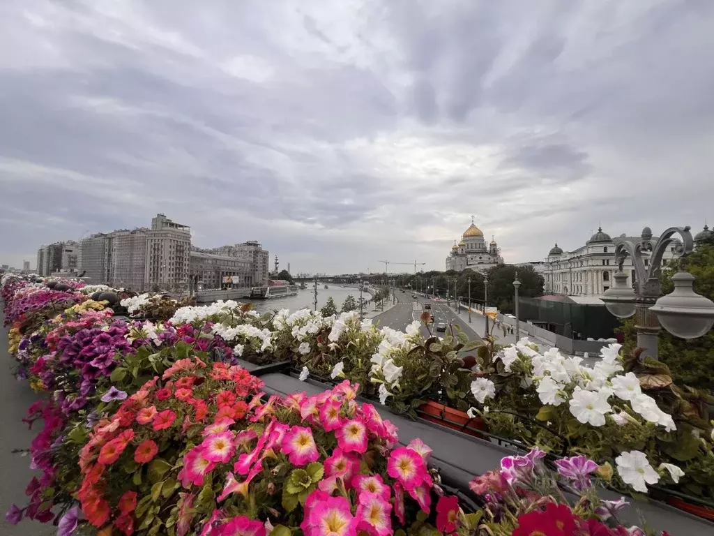 Комната Москва ул. Серафимовича, 2 (27.0 м) - Фото 1