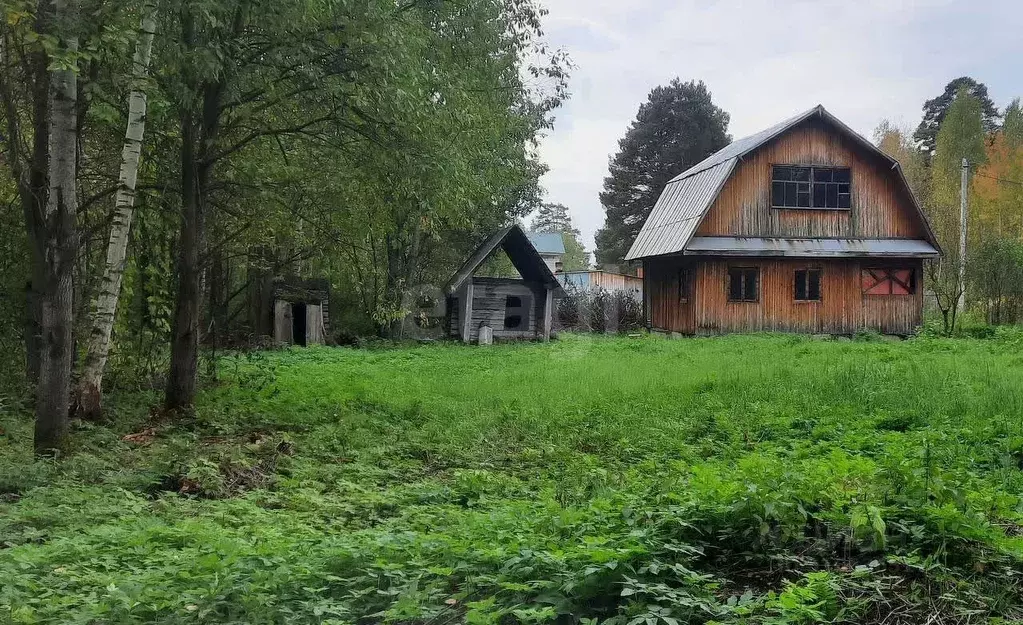 Дом в Пермский край, Озера СНТ ул. Грибная, 35А (83 м) - Фото 1