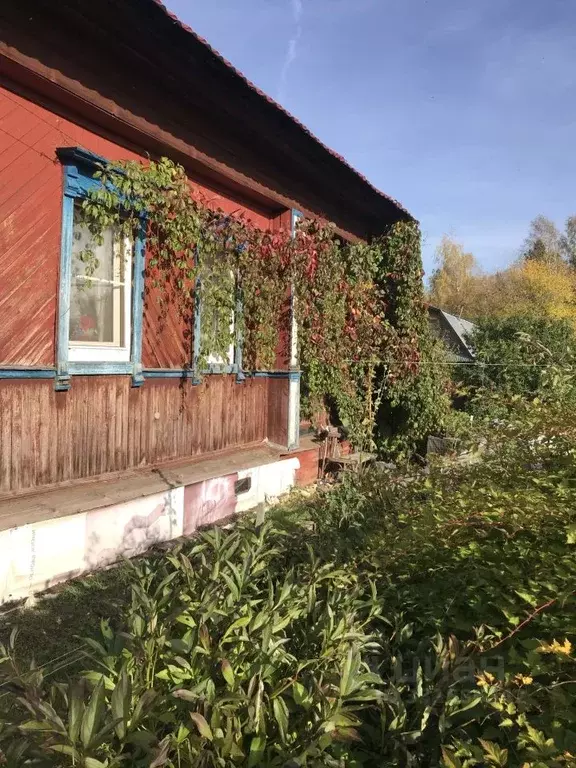 Дом в Нижегородская область, Красные Баки рп ул. Октябрьская, 5 (45 м) - Фото 2