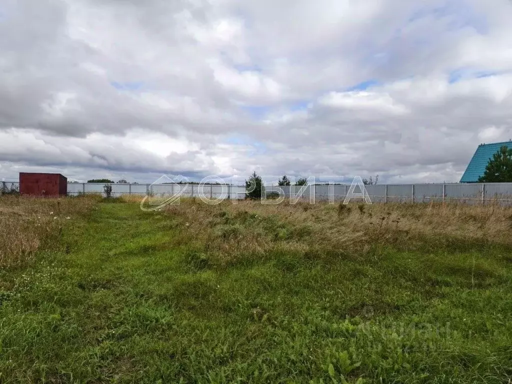 Участок в Тюменская область, Тюменский муниципальный округ, с. Борки ... - Фото 2