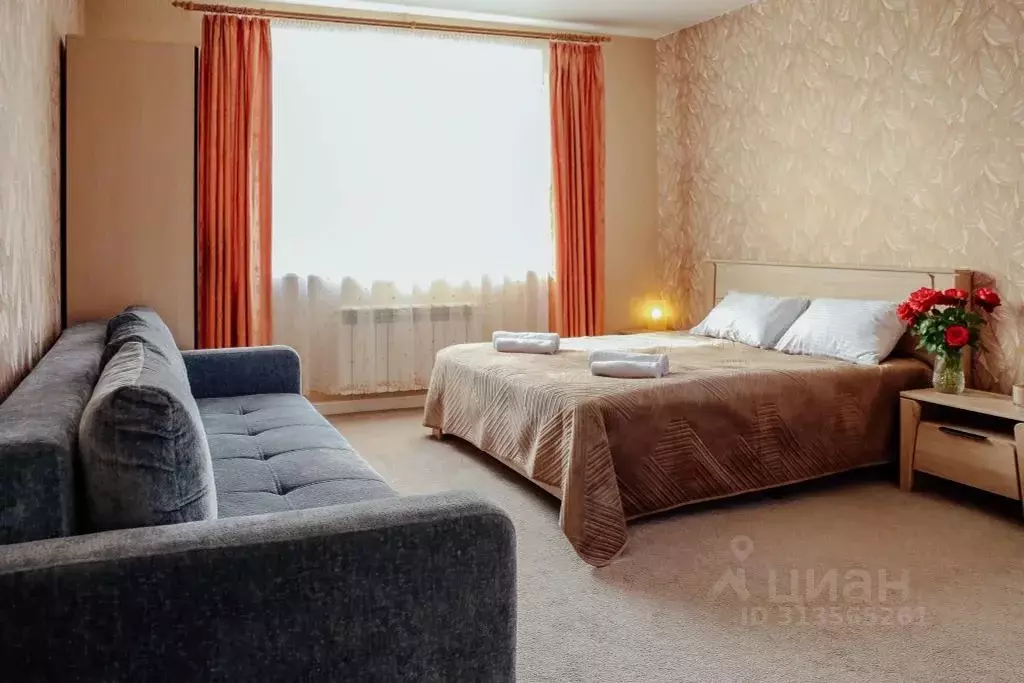 1-к кв. Марий Эл, Йошкар-Ола Водопроводный пер., 4 (25.0 м) - Фото 1