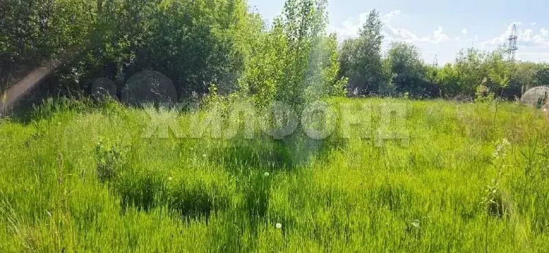 Участок 11,6 сот. (СНТ, ДНП) - Фото 0