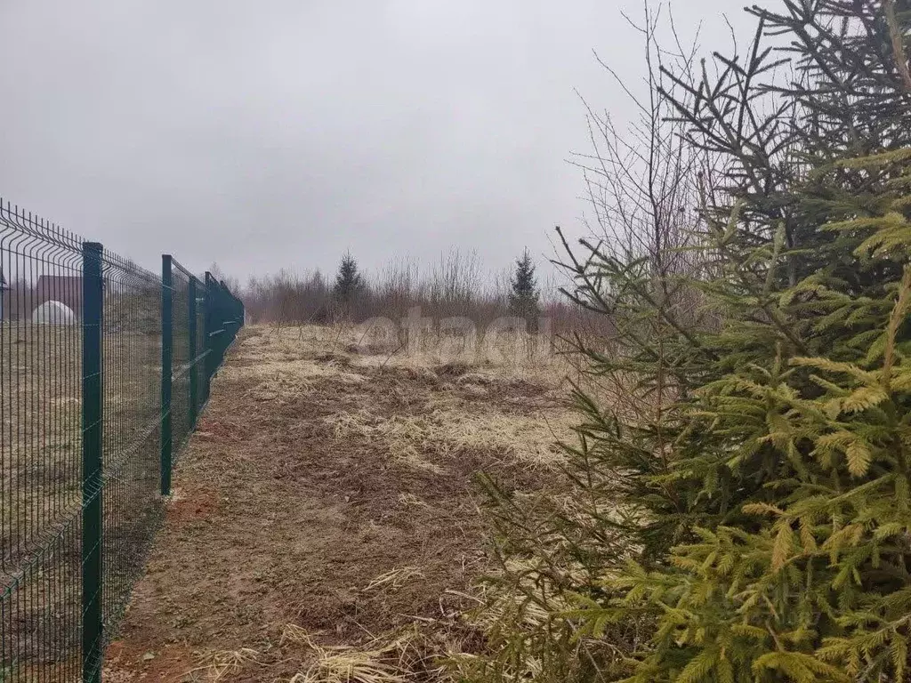 Участок в Московская область, Можайский муниципальный округ, Стрижи ... - Фото 1