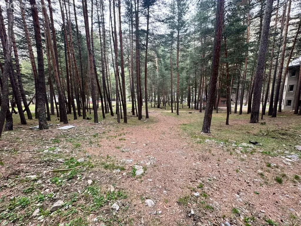 Участок в Эльбрусский район, село Тегенекли (15 м) - Фото 0