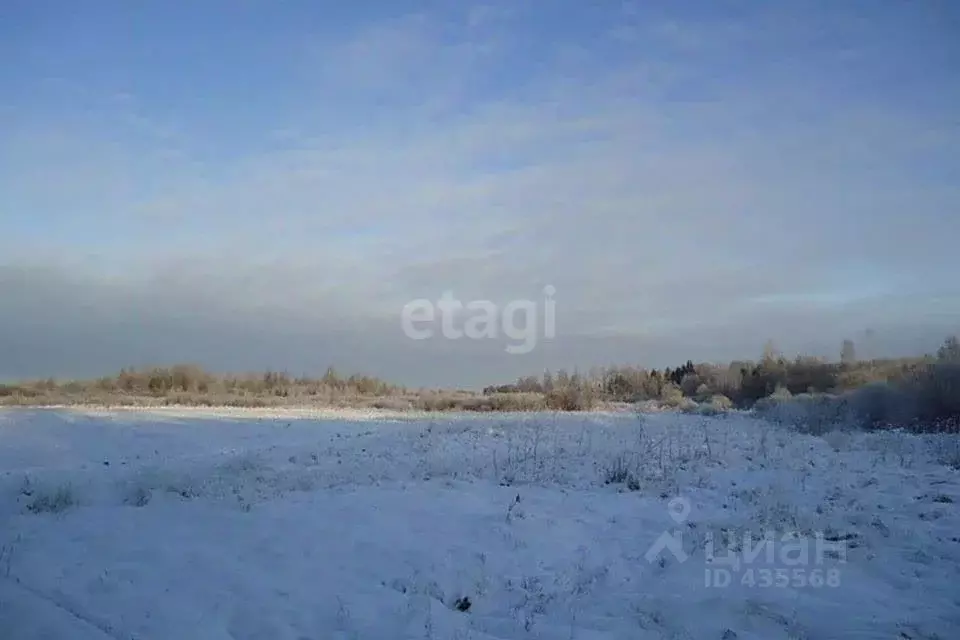 Участок в Белгородская область, Валуйский городской округ, с. Майское  ... - Фото 0