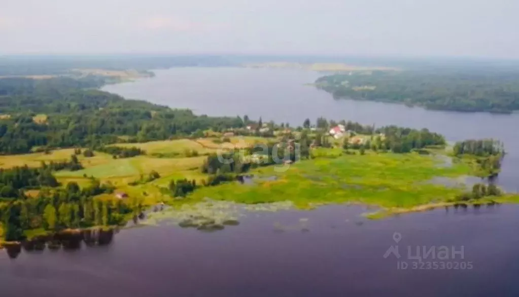 Участок в Тверская область, Осташковский муниципальный округ, д. ... - Фото 1