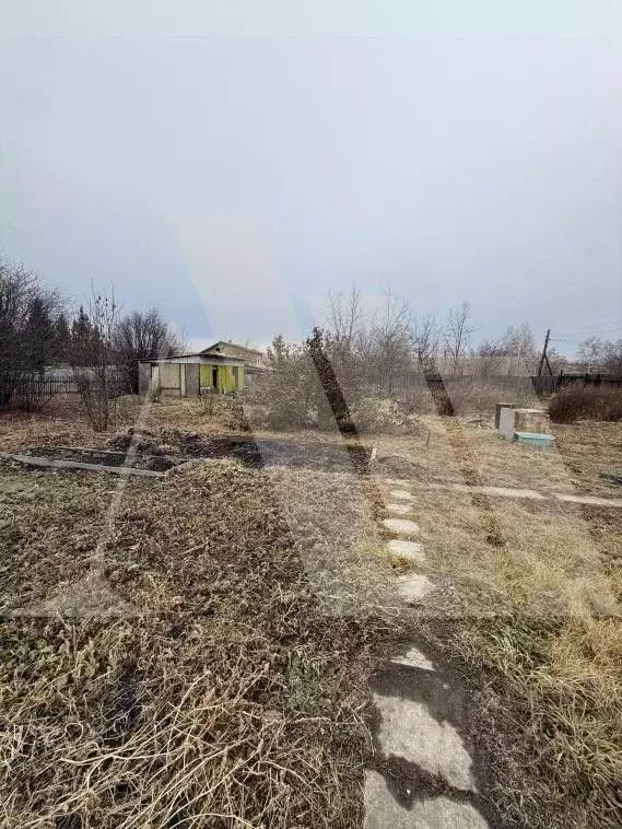 Дом в Омская область, Кормиловский район, д. Корниловка, Дружба СТ  ... - Фото 2