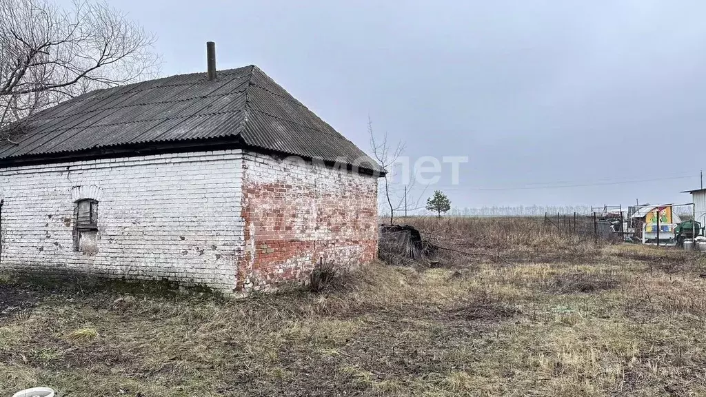 Участок в Липецкая область, Грязинский муниципальный округ, с. ... - Фото 1