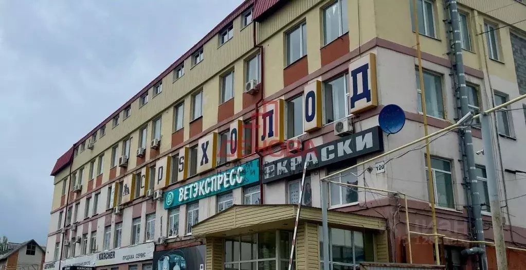 Офис в Тюменская область, Тюмень ул. 50 лет Октября, 120 (28 м) - Фото 0