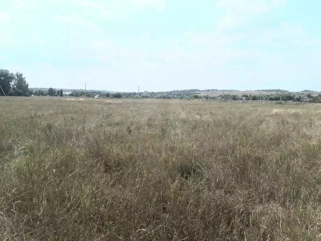 Участок в Воронежская область, Хохольский район, с. Гремячье Садовая ... - Фото 1