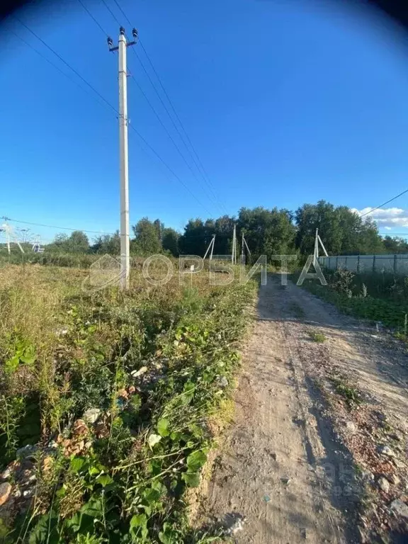 Участок в Тюменская область, Тюменский муниципальный округ, с. ... - Фото 2