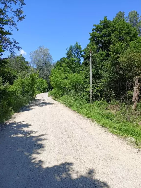 Участок в Краснодарский край, Белореченский район, Пшехское с/пос, ... - Фото 1