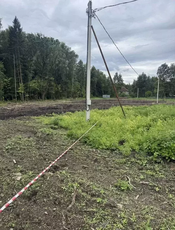 Участок в Московская область, Богородский городской округ, д. ... - Фото 2