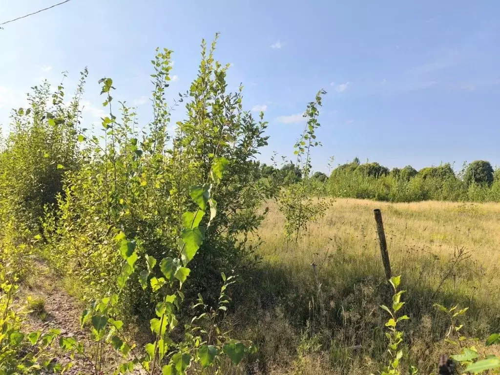 Участок в Ленинградская область, Выборгский район, Рощинское городское ... - Фото 1