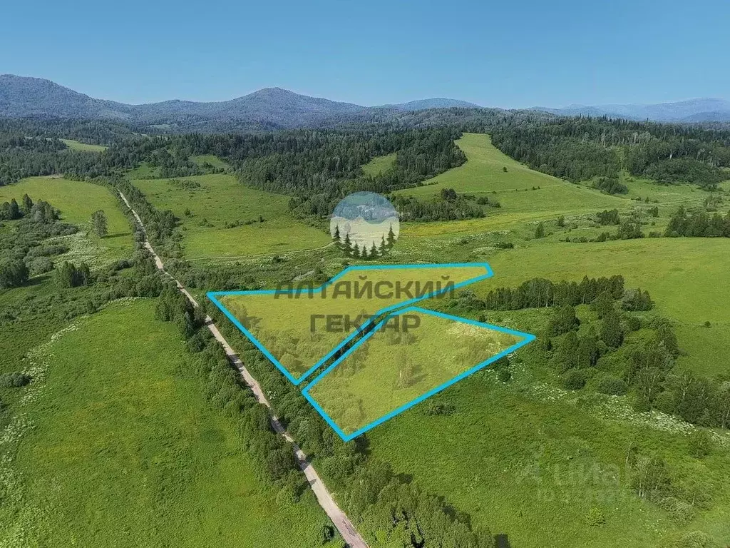 Участок в Алтай, с. Чоя  (242.0 сот.) - Фото 1