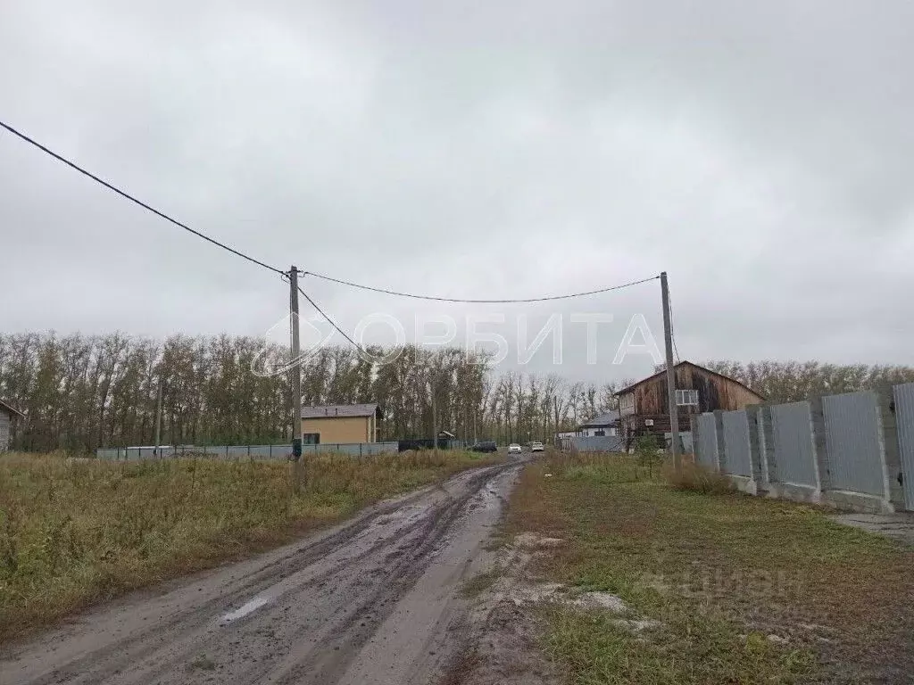 Участок в Тюменская область, Тюменский муниципальный округ, с. Луговое ... - Фото 2