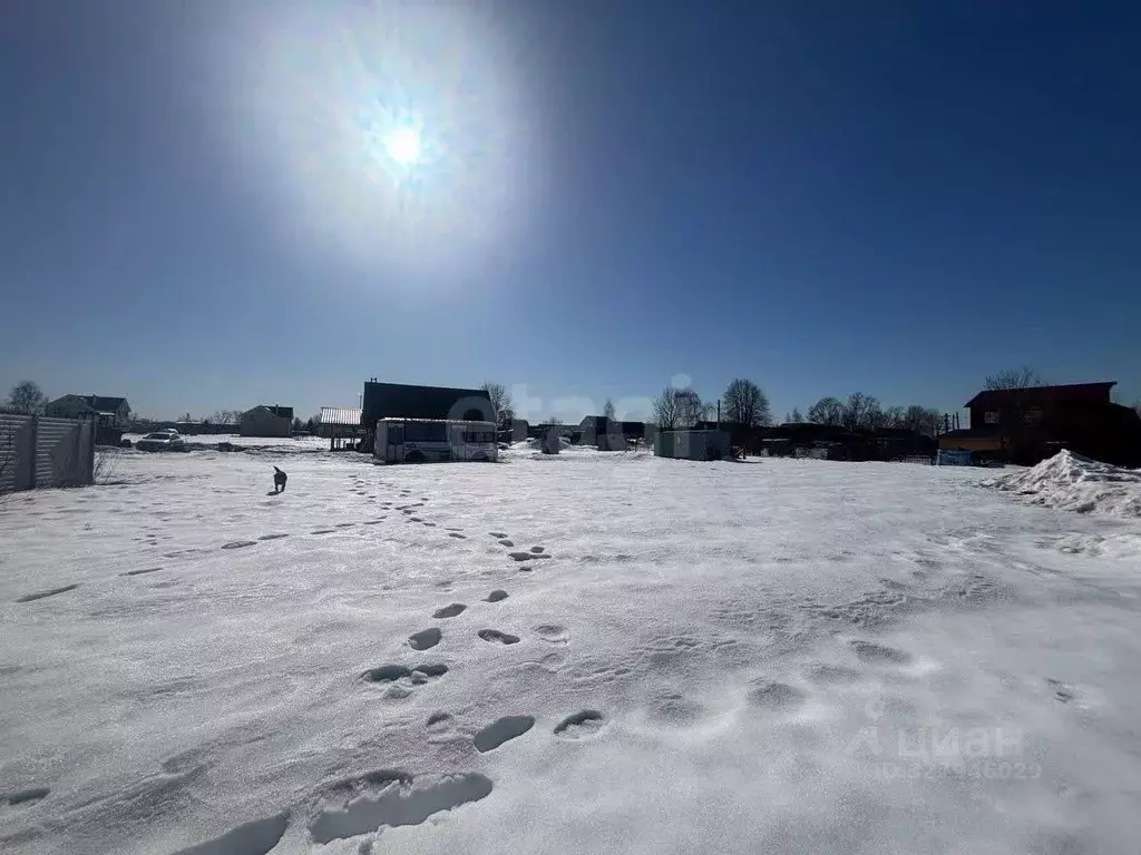 Участок в Ярославская область, Ярославский муниципальный округ, д. ... - Фото 2
