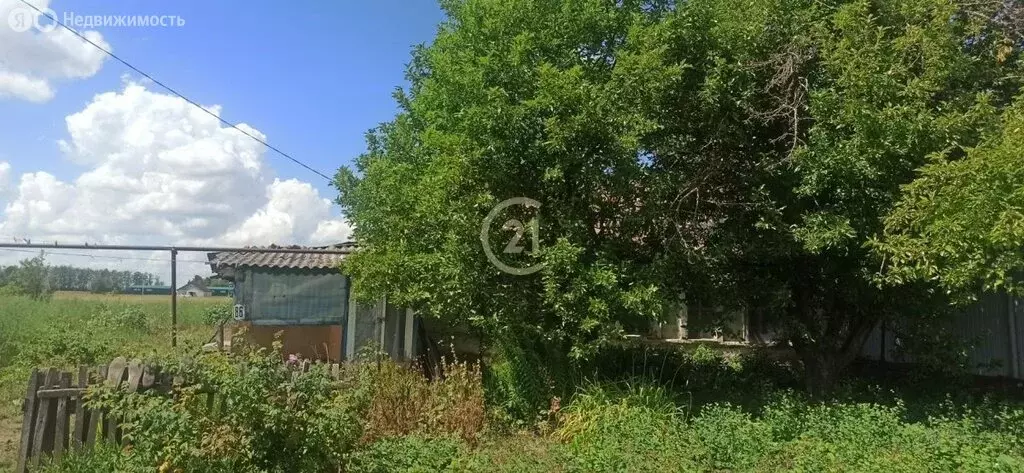 Дом в село Стрельцы, Южная улица, 86 (36.3 м) - Фото 2