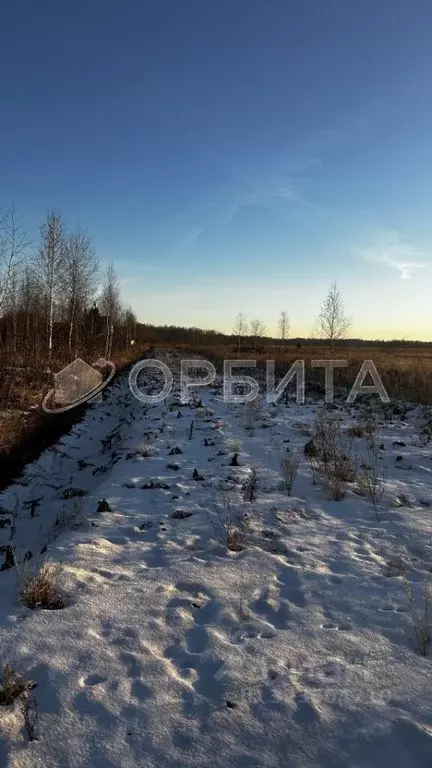Участок в Тюменская область, Тюменский муниципальный округ, Москвичка ... - Фото 1