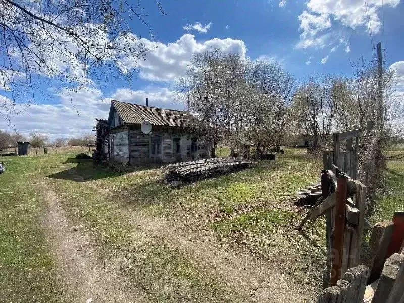 Дом в Амурская область, Ивановский муниципальный округ, с. ... - Фото 1