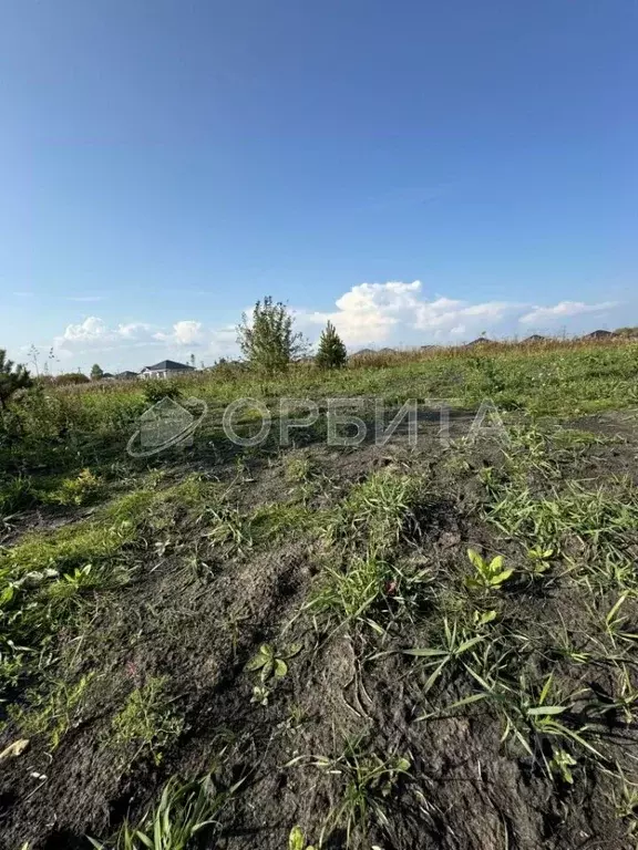 Участок в Тюменская область, Тюменский район, д. Елань 14 (11.75 сот.) - Фото 0