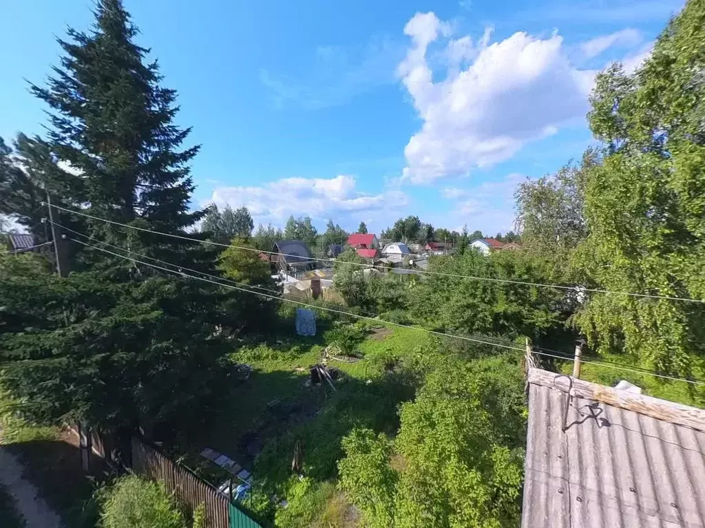 Участок в Тюменская область, Тюмень Бирюсинка СНТ, ул. Садовая, 54 ... - Фото 1