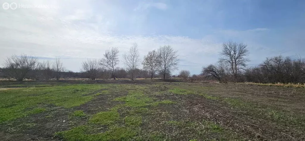 Участок в Новомаргаритово, Садовая улица, 9 (25 м) - Фото 1