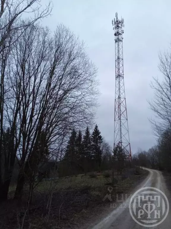 Дом в Ленинградская область, Лужский район, Володарское с/пос, д. ... - Фото 2