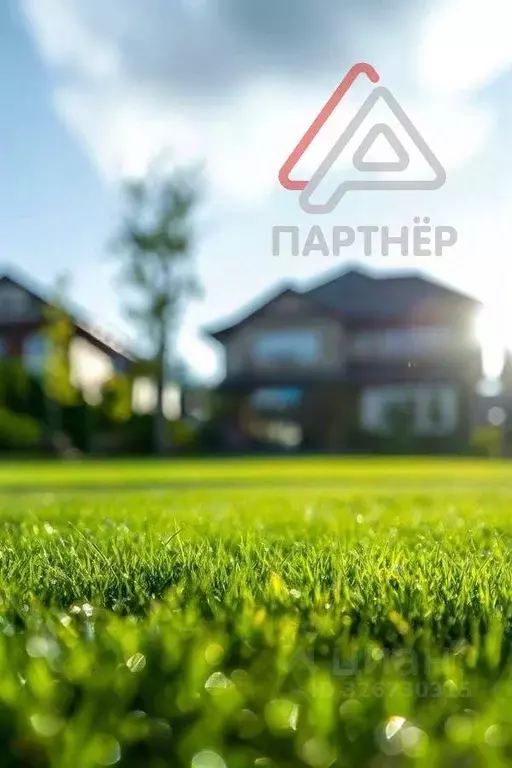 Участок в Ульяновская область, Димитровград ул. Курчатова (10.0 сот.) - Фото 1