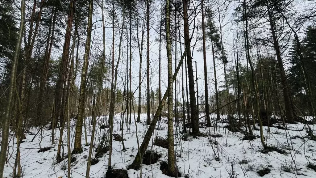 Участок в Ленинградская область, Шлиссельбург Кировский район, пер. ... - Фото 2