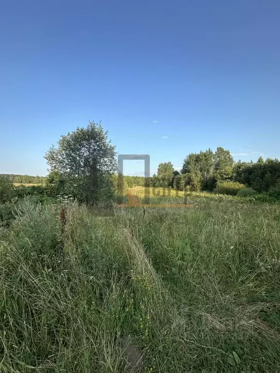 Участок в Ярославская область, Ярославский муниципальный округ, ... - Фото 1