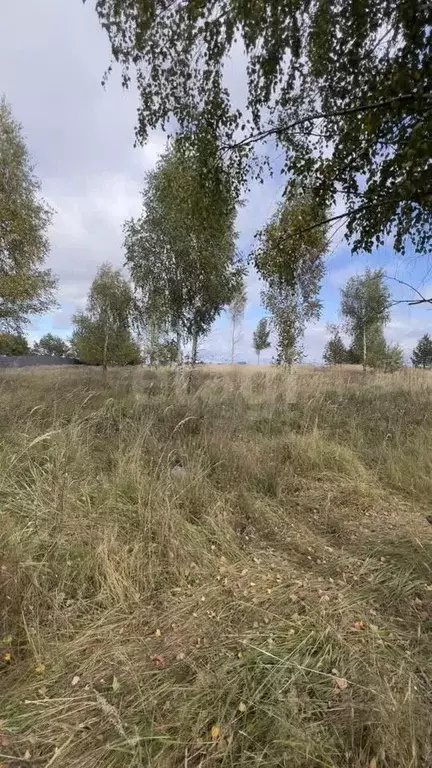 Участок в Владимирская область, Муром д. Березовка, ул. Плодовая (12.0 ... - Фото 1