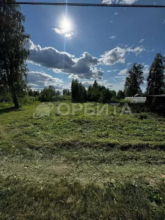 Участок в Тюменская область, Нижнетавдинский район, с. Тюнево  (11.0 ... - Фото 0