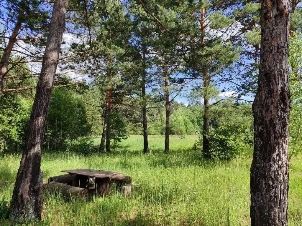 Участок в Брянская область, Брасовский район, Крупецкое с/пос, Село ... - Фото 1