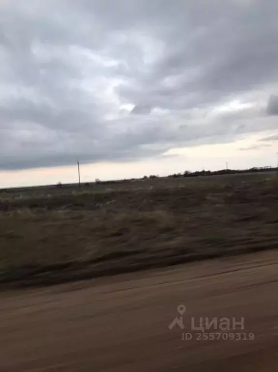 Участок в Смоленская область, Гагаринский район, д. Гульцово ул. ... - Фото 2