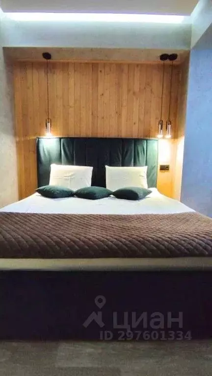 2-к кв. Ставропольский край, Пятигорск ул. Пестова, 9 (45.0 м) - Фото 1