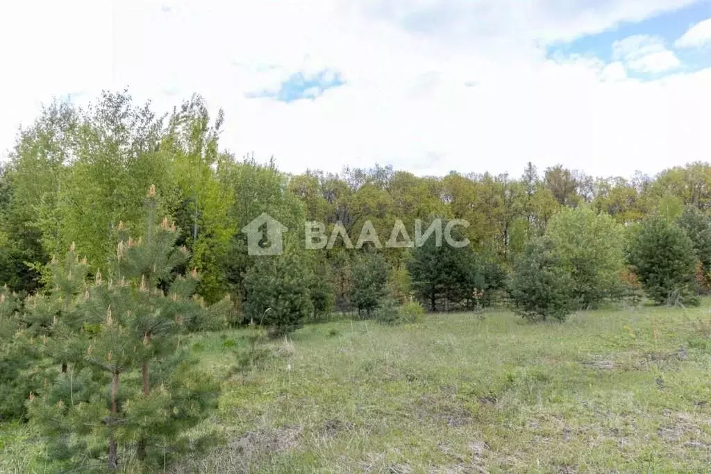 Участок в Владимирская область, Владимир д. Уварово, пер. 2-й ... - Фото 1