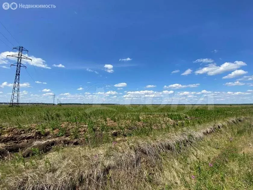 Участок в Тюменский район, деревня Елань (8 м) - Фото 1