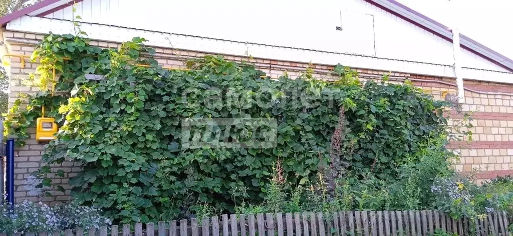 Дом в Челябинская область, Троицкий муниципальный округ, пос. ... - Фото 2
